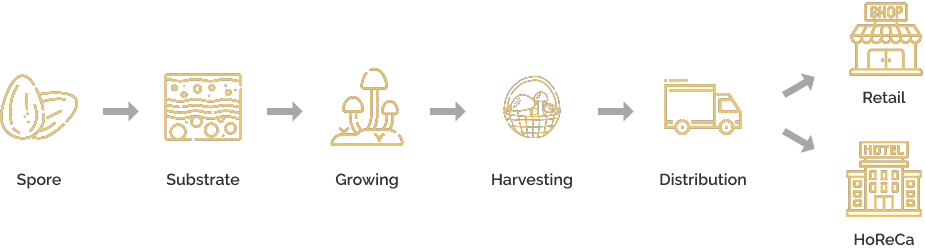 mushroom farmers in india